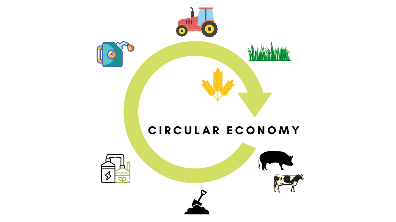 Graphic illustrating the circular economy of green fuels